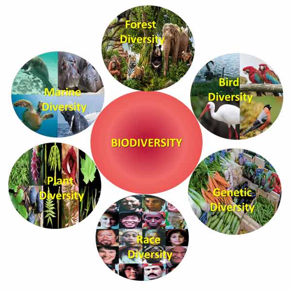 Biodiversity and Conservation